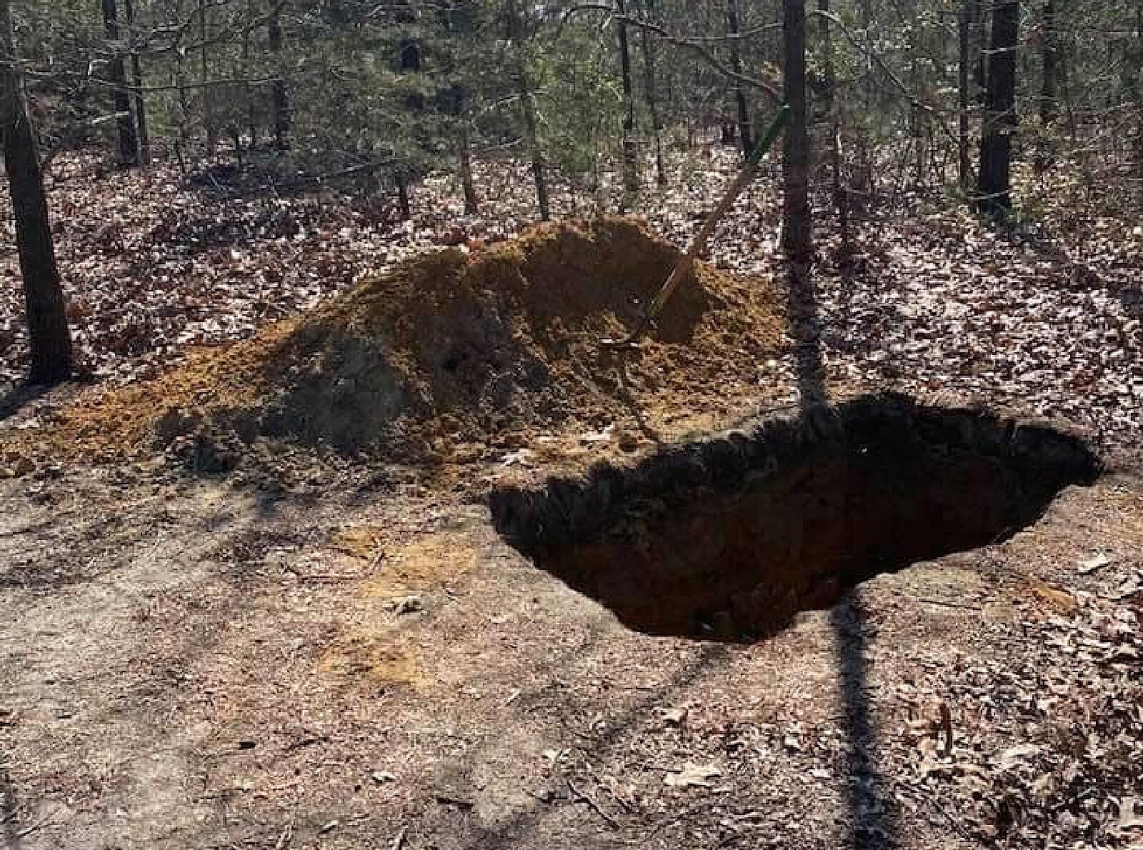 new born buried in shallow grave