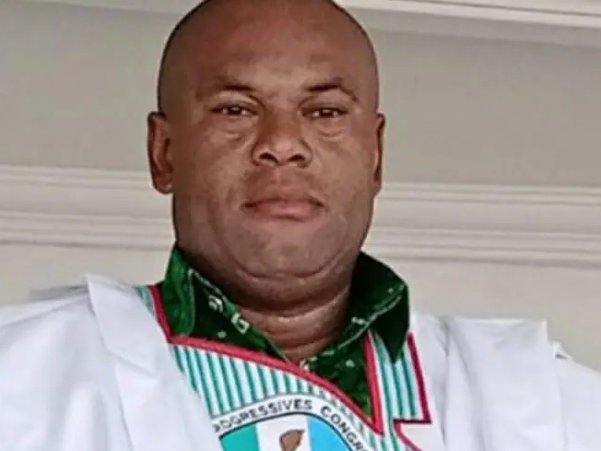 APC congress: Macdonald Ebere emerges as chairman in Imo