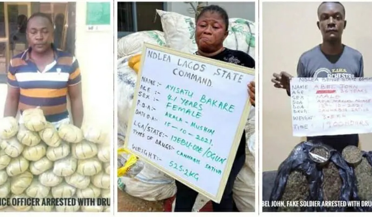 PHOTOS: Fake police officer, soldier, corps member, 660 others arrested as NDLEA raids notorious drug joints
