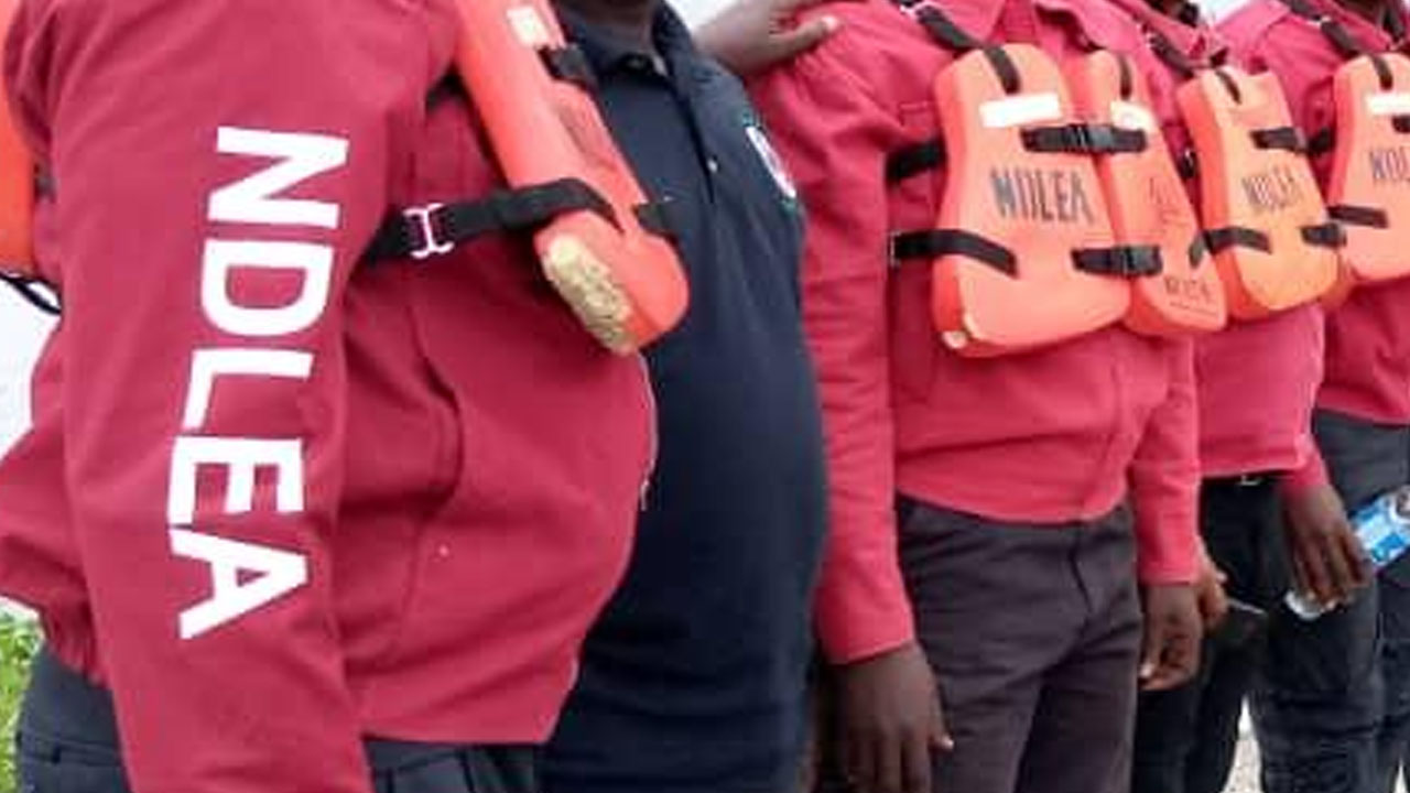 NDLEA