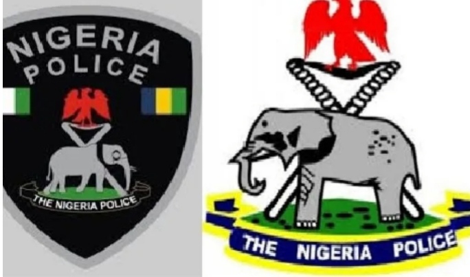 26-year-old allegedly kills father over chicken head in Ondo